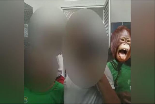 Criança tem o rosto trocado por figurinha de macaco em foto