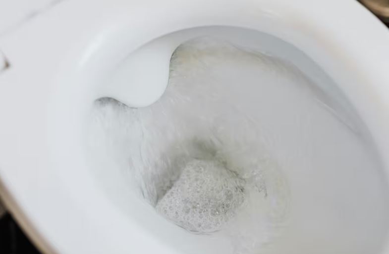 Menina de 7 anos morre ao subir em vaso sanitário e se cortar com pedaço dele