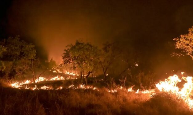 Amazônia: incêndio em área de floresta madura cresceu 152% em 2023