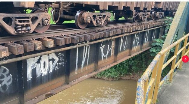 Mulher desaparece após ser atropelada por trem e cair em rio em Juiz de Fora