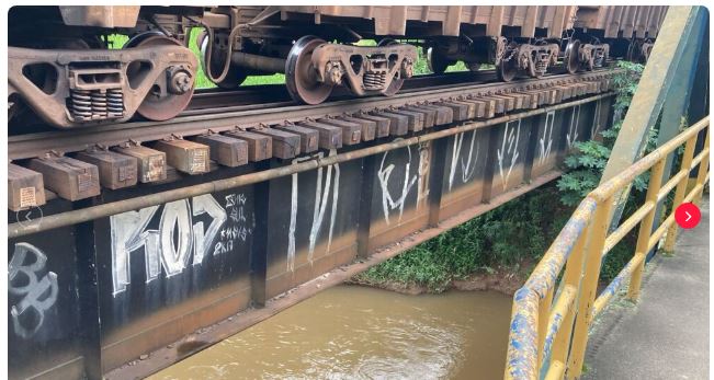Mulher desaparece após ser atropelada por trem e cair em rio em Juiz de Fora