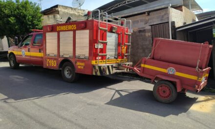 Cão em situação de risco é resgatado pelos bombeiros em Formiga