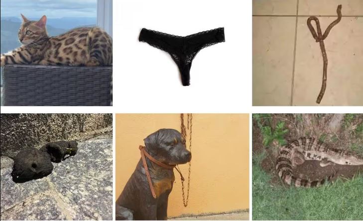 De boneca “socorrida” pelo Samu a cobra que era linguiça, veja casos inusitados em MG