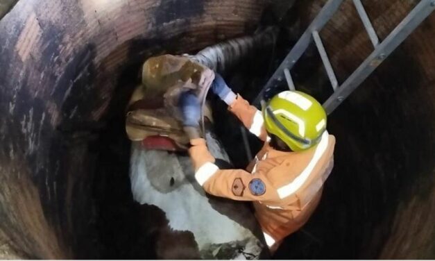 Égua cai em uma fossa com 3 metros de profundidade no interior de Minas