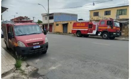 Homem é atacado por enxame de abelhas enquanto limpava caixa d’água de residência, em Poços de Caldas