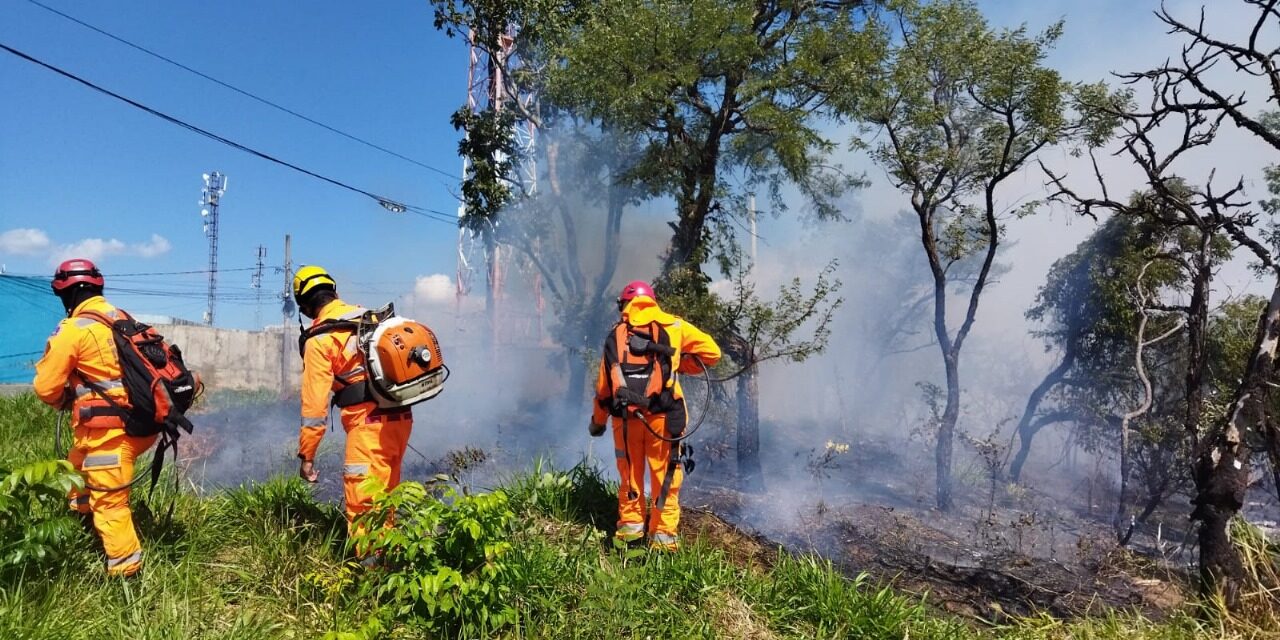Bombeiros combatem incêndio em vegetação no bairro Santa Tereza, em Formiga