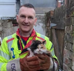 Gato ‘mal-humorado’ viraliza após ser resgatado por Bombeiros no Reino Unido