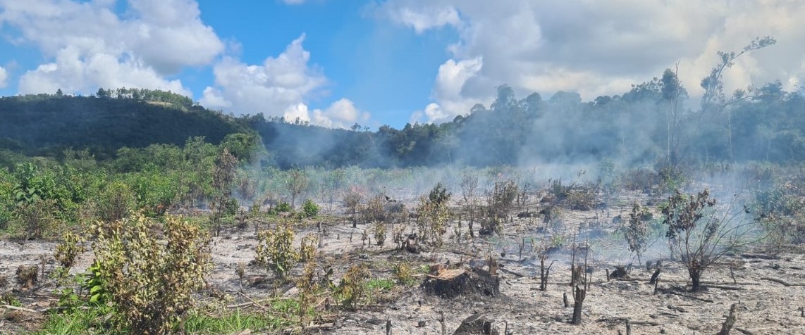 Bombeiros combatem incêndio em área de reflorestamento na comunidade de Lucianos, em Formiga