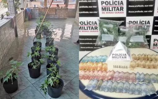 Polícia Civil investiga jovem por manter plantação de maconha dentro de casa, em Lavras