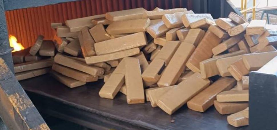 Quase 800 Kg de maconha apreendidos no interior de Minas são incinerados