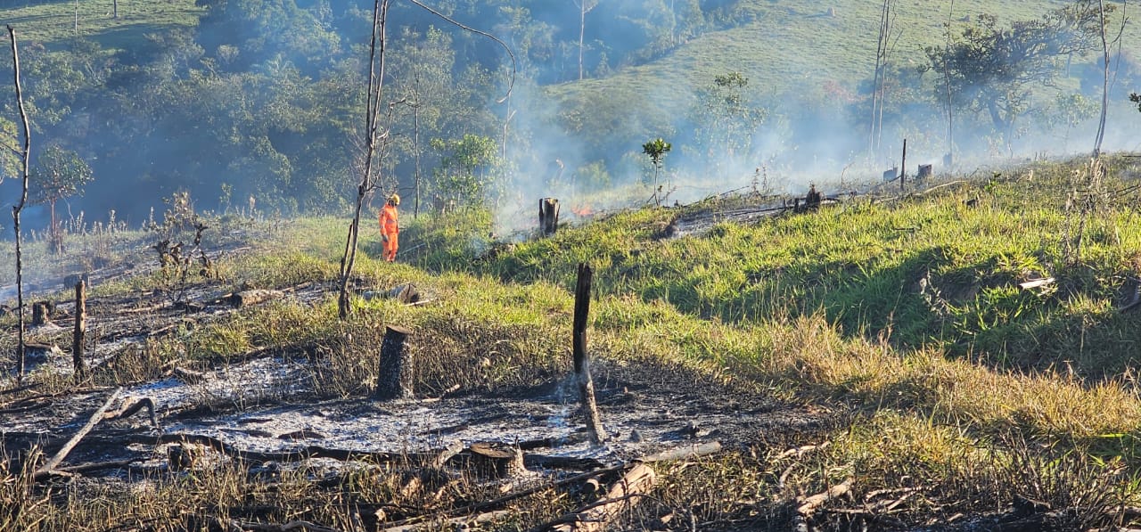 Incêndios criminosos são combatidos pelos bombeiros na BR-354, em Formiga