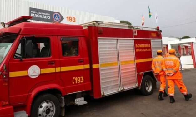Corpo de Bombeiros controla incêndio em matagal às margens da BR-354, em Formiga