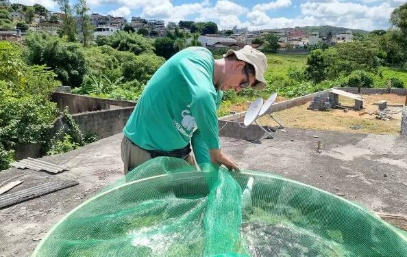 LIRAa:  Formiga está com “alto risco” de epidemia de dengue