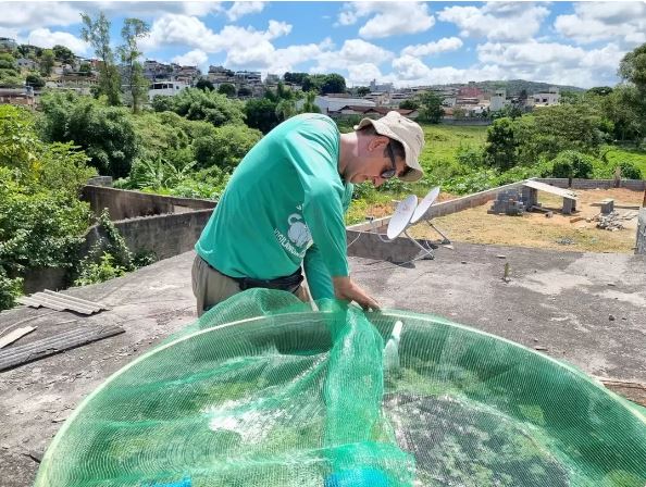 LIRAa:  Formiga está com “alto risco” de epidemia de dengue