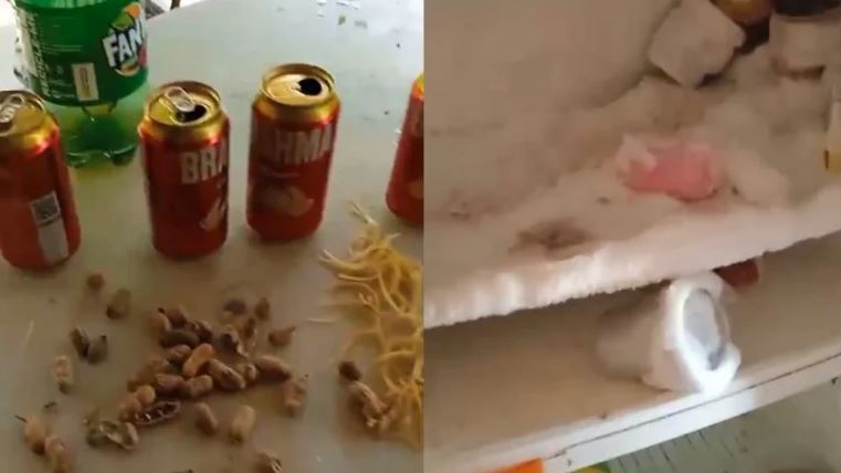 Indivíduos furtam sítio em Cláudio, bebem cerveja, comem macarrão e tomam banho