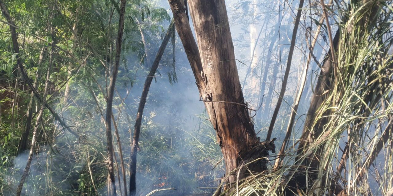 Incêndio é registrado às margens da BR-354, em Iguatama