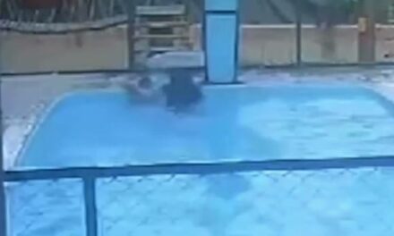 Mulher é presa após tentar afogar filha de seis meses em piscina de clube