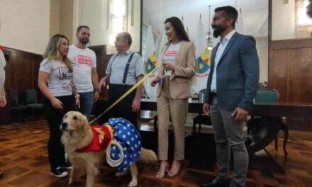 Pets vão poder visitar tutores em hospitais de BH a partir deste sábado