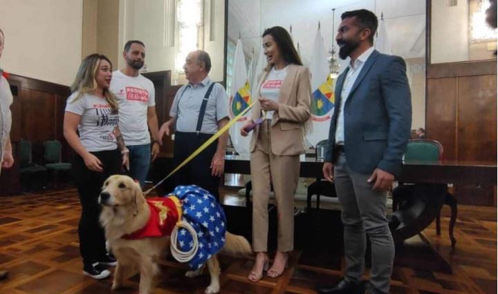 Pets vão poder visitar tutores em hospitais de BH a partir deste sábado