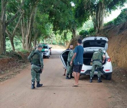 Operação é lançada nesta quarta-feira em comemoração a Semana Nacional do Meio Ambiente em MG