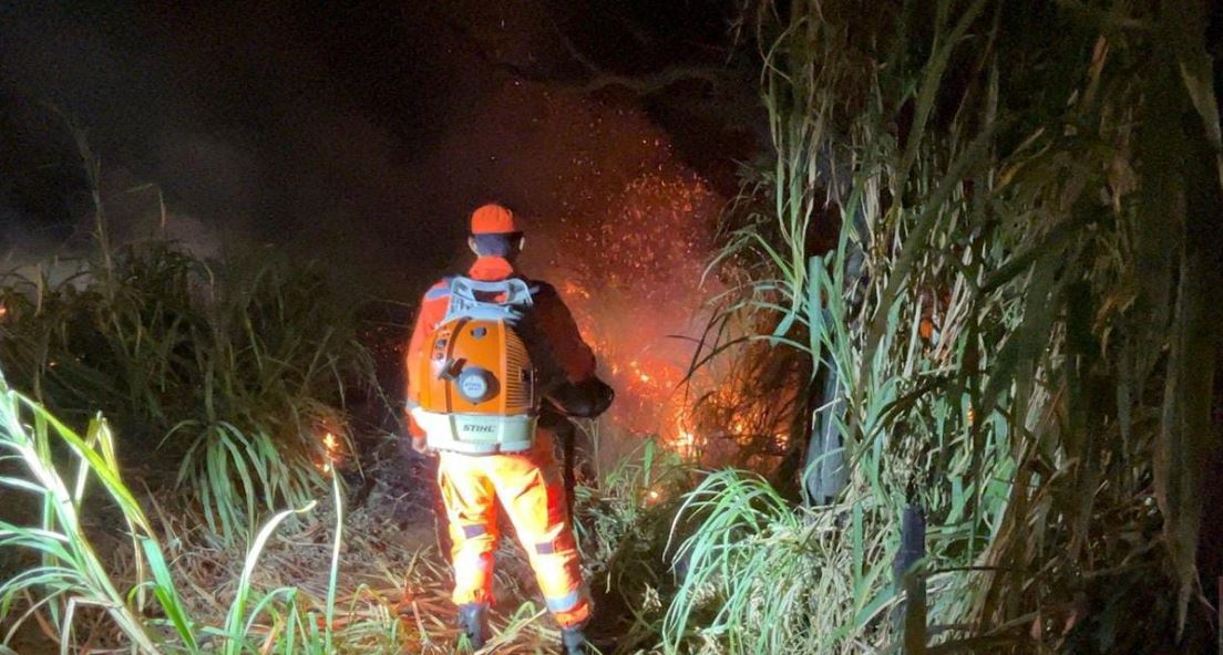 Corpo de Bombeiros combate incêndio em vegetação na BR-354, em Formiga