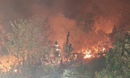 Incêndio é registrado em plantação de eucalipto na zona rural de Samonte
