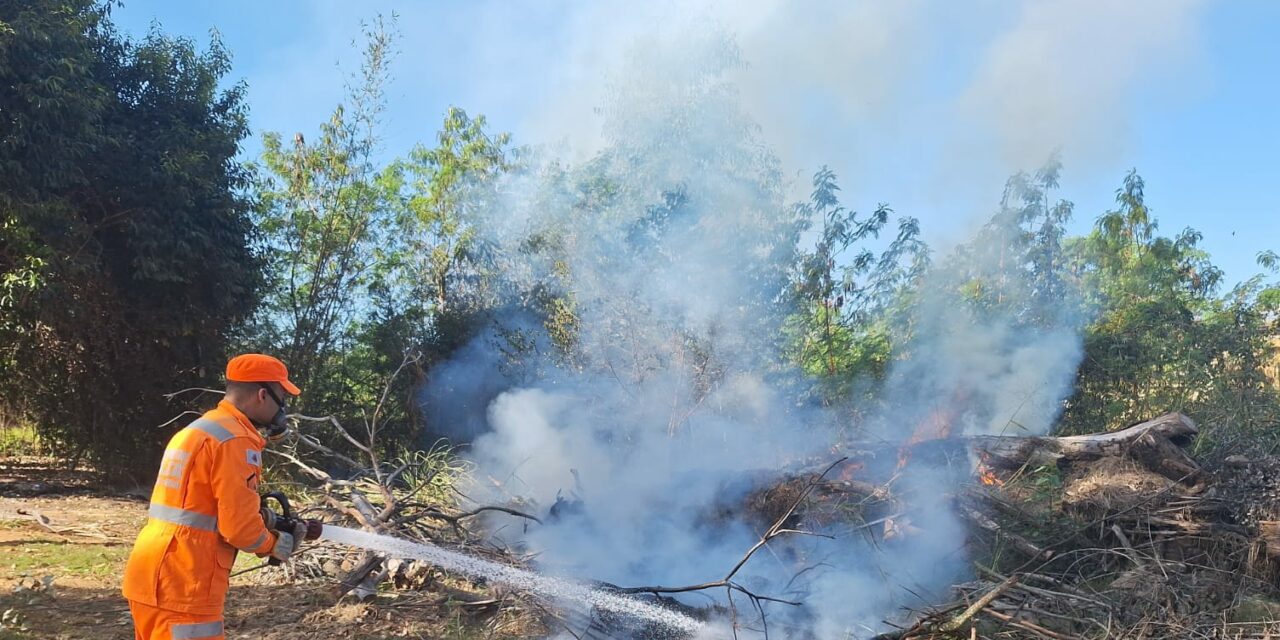 Bombeiros de Arcos combatem incêndio em troncos de árvores