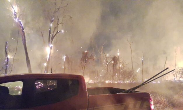 Bombeiros combatem incêndio às margens da linha férrea, em Arcos