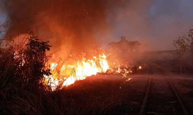 Bombeiros combatem incêndio próximo à BR 354, em Arcos