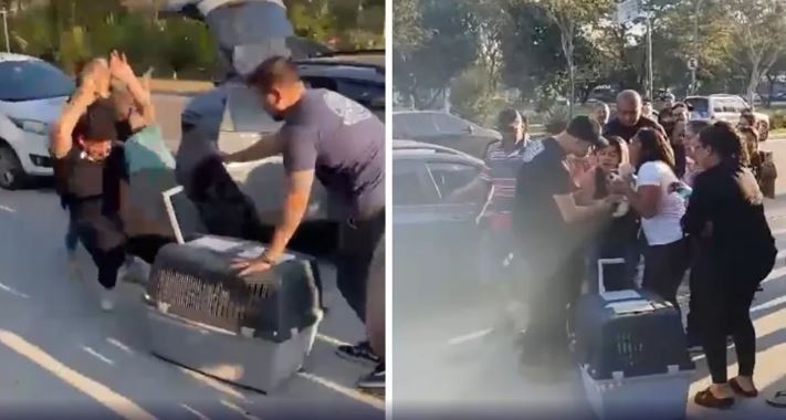 Blitz contra venda clandestina de animais termina em briga generalizada