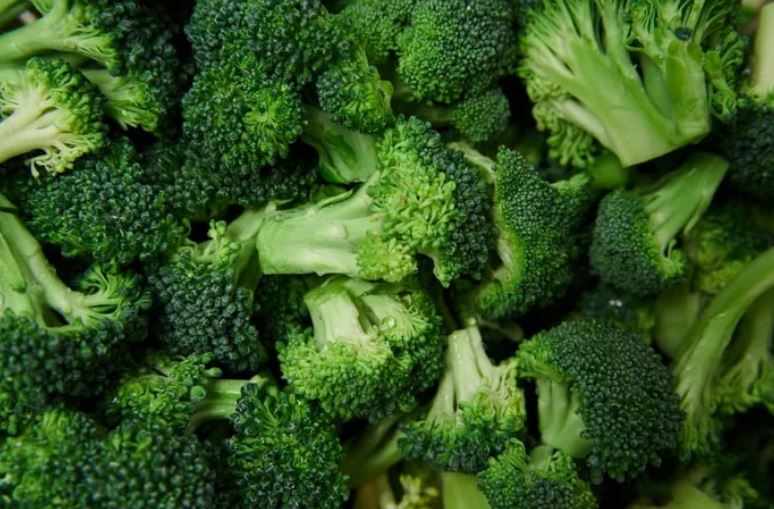 Brócolis: saiba os benefícios para o corpo se comer todos os dias