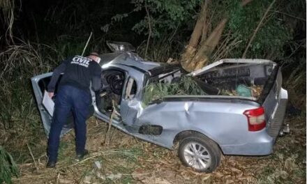 Casal morre após caminhonete capotar e bater em árvore na MG-446