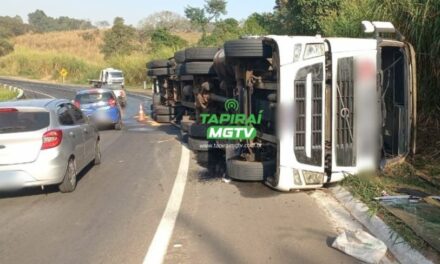 Caminhão carregado com caixas de cerveja tomba na MG-050