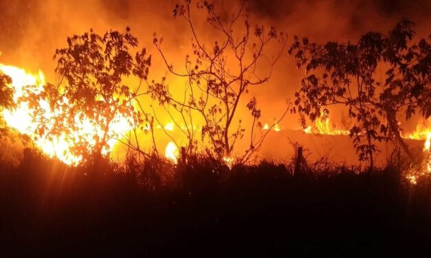 Câmara aprova aumento de punição a quem provocar incêndios florestais