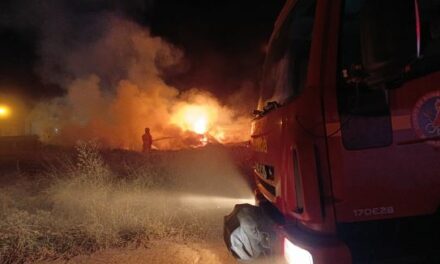 Bombeiros de Arcos combatem incêndio em pasto