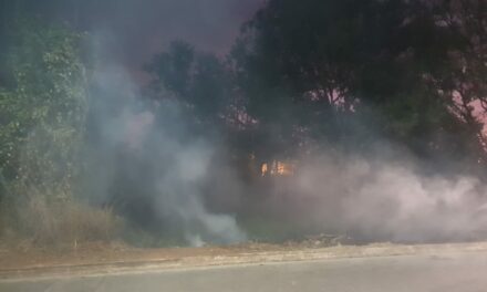 Corpo de Bombeiros combate incêndio no bairro Floresta, em Arcos