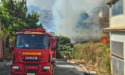 Formiga: fogo consome vegetação e coloca casas em risco