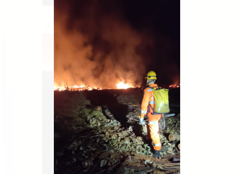 Incêndio é registrado em vegetação no bairro Nova Morada, em Arcos