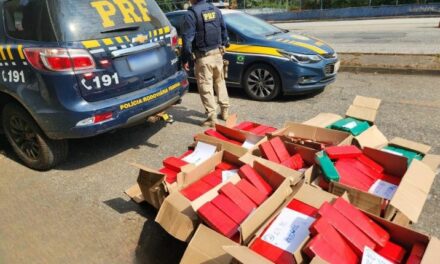 Caminhoneiro é preso ao transportar 300 kg de maconha na BR-267, em Juiz de Fora
