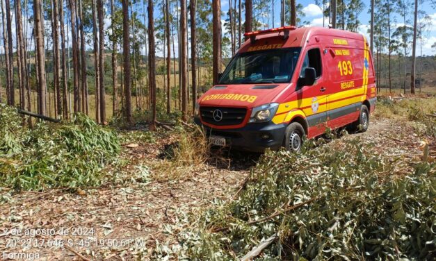 Trabalhador rural fica ferido após ser atingido por tronco de árvore, em Formiga