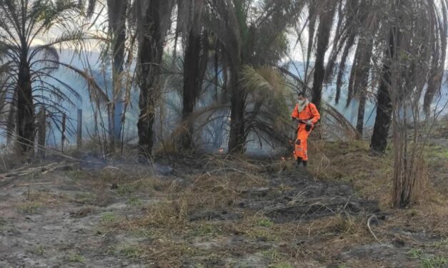 Incêndio às margens da BR-354 ameaça propriedades e é controlado pelos bombeiros de Formiga