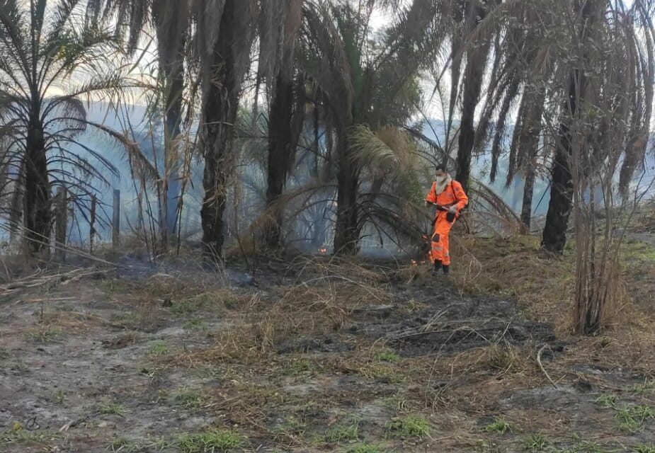 Incêndio às margens da BR-354 ameaça propriedades e é controlado pelos bombeiros de Formiga