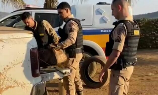 Polícia Militar frustra roubo de 600 sacas de café em São Roque de Minas