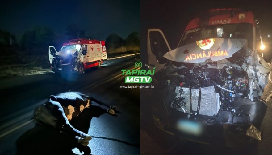 Ambulância do Samu transportando gestante fica destruída após acidente com bovino na BR-262