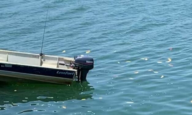 Motor de barco e eletrônicos são furtados em residência de Furnastur