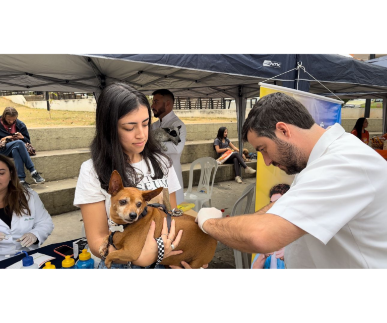 Alunos de Medicina Veterinária do Unifor-MG participam de “Cãominhada” e contribuem para a saúde dos animais