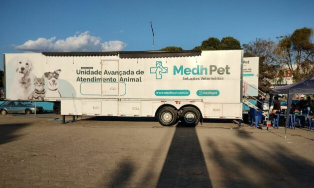Campanha de Castração de Cães e Gatos em Formiga se encerra nesta sexta-feira