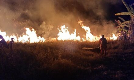 Incêndio é registrado em área de pastagem, em Córrego Fundo