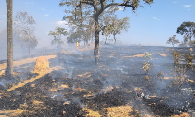 Formiga: bombeiros combatem incêndio em área de pastagem