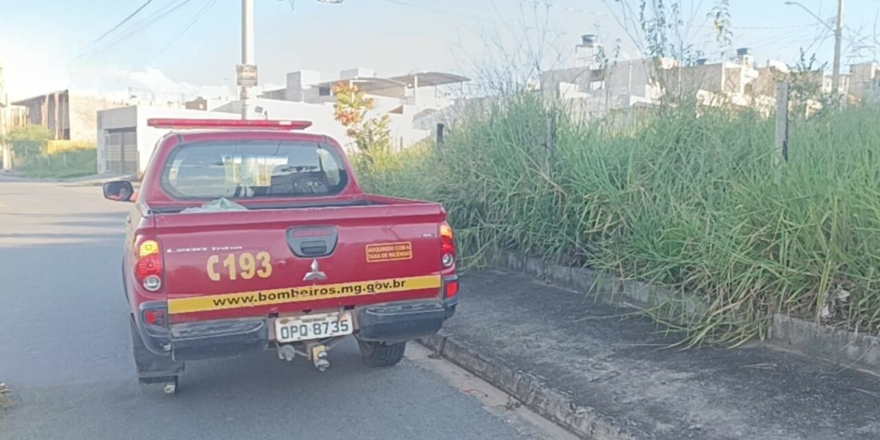 Bombeiros realizam vistoria em lotes vagos de Formiga